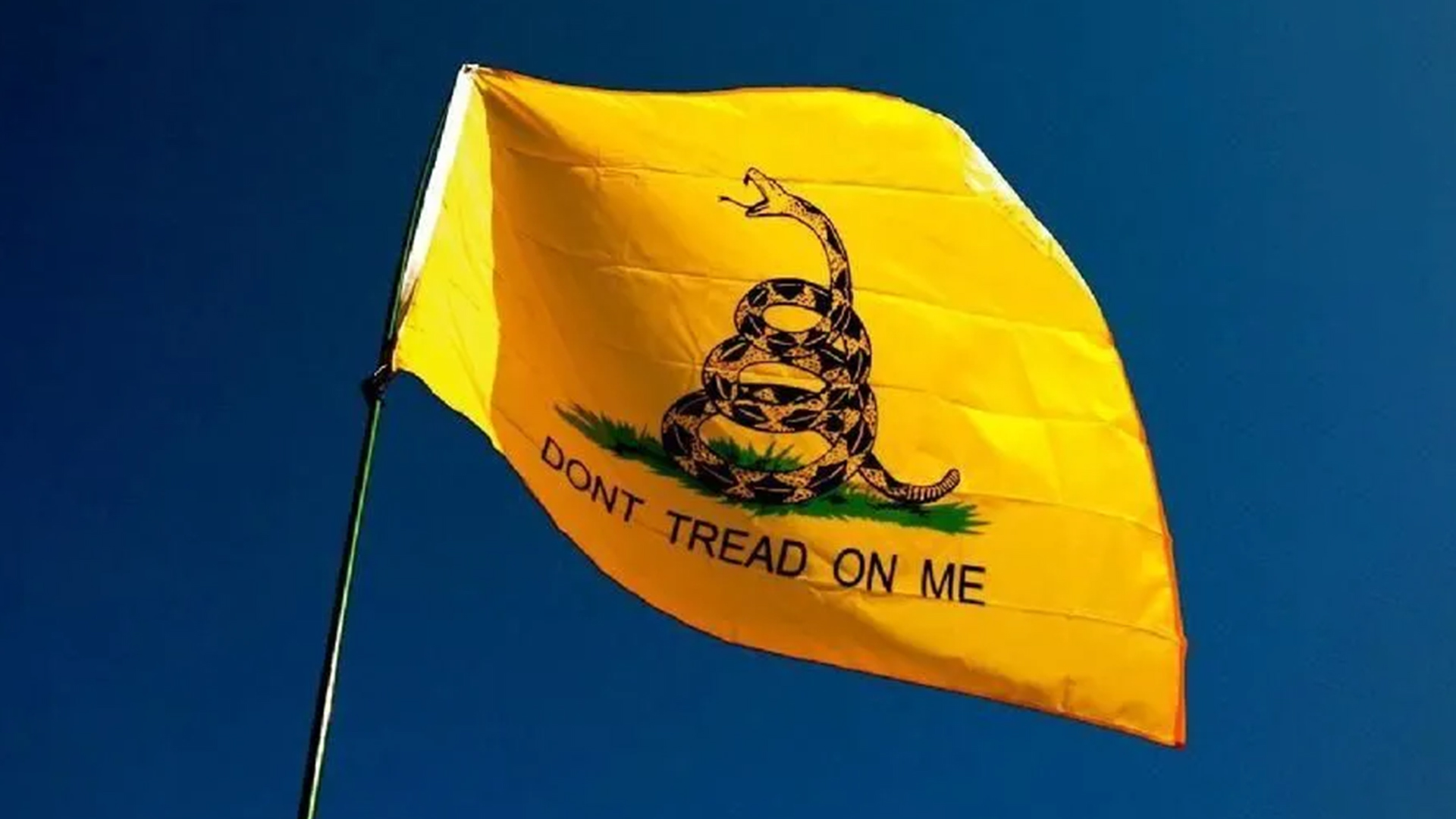 O Que o Libertarianismo É - Instituto Mises Portugal