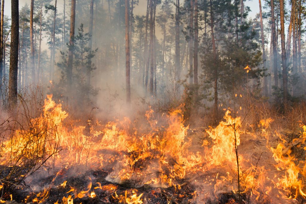 Incêndios Portugal