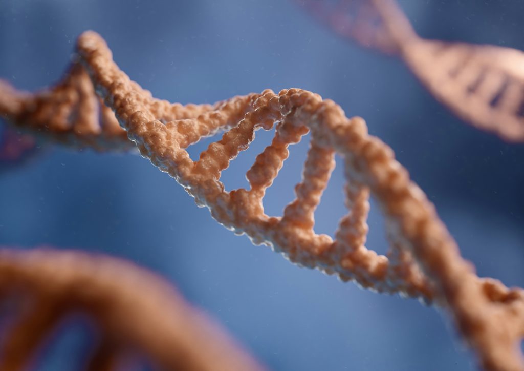 Da Predação à Mutação: Quando a Expansão do Estado Atinge o Limite Antropológico DNA
